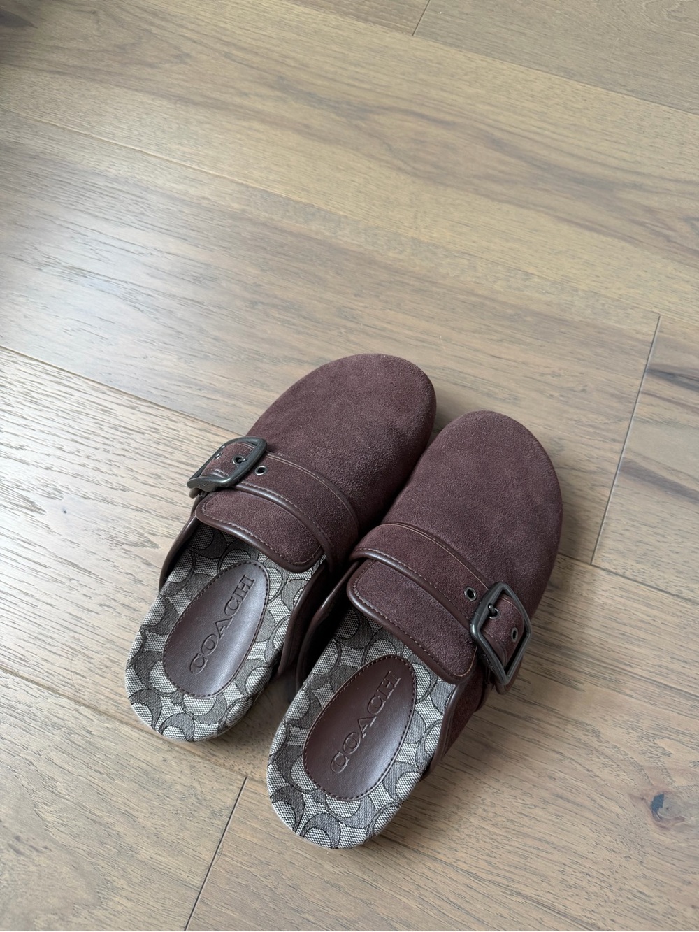 Coach Women's Brown Suede Buckle Clogs